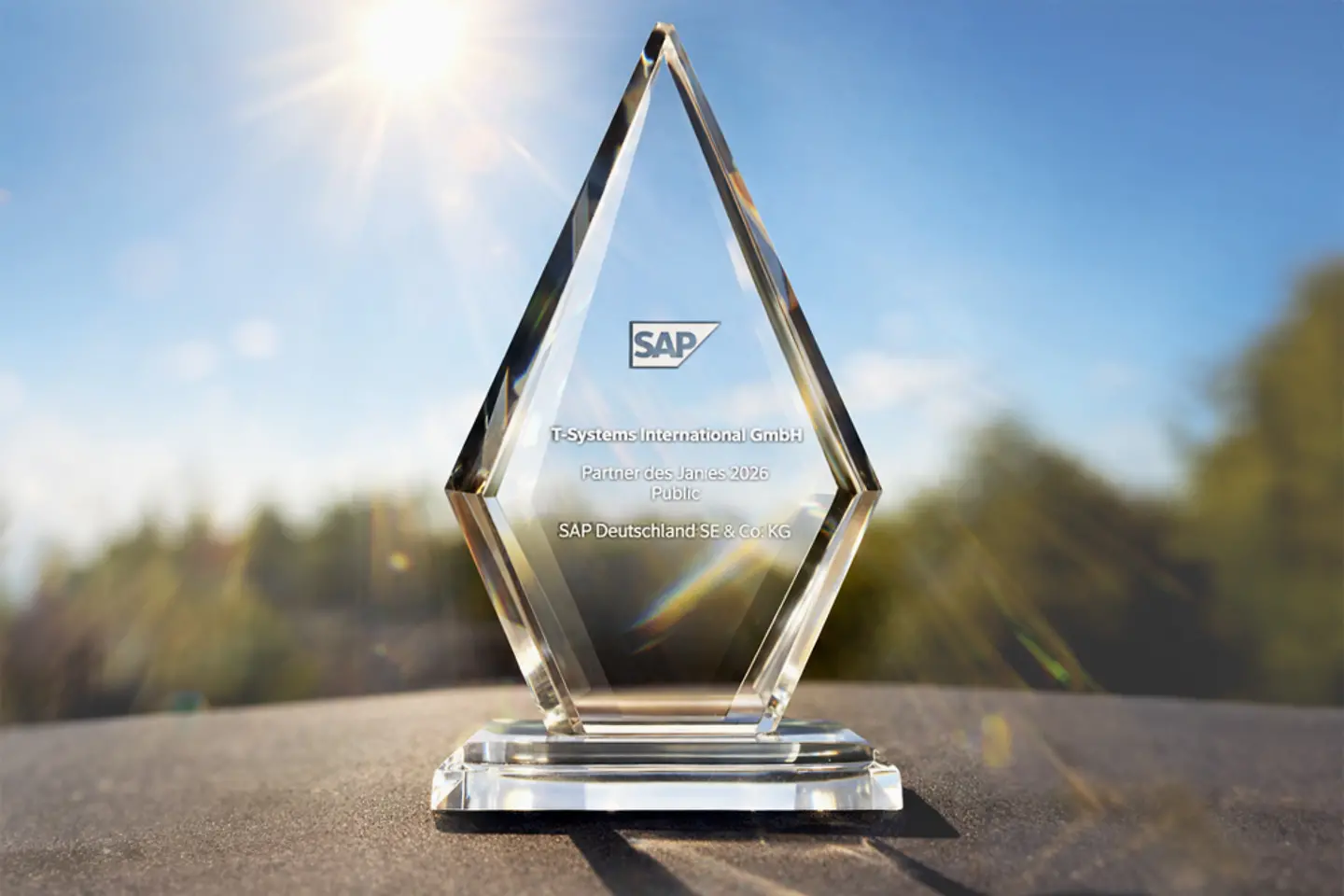 SAP Partner of the Year 2026 Public award, image edited with AI